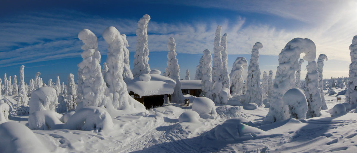 Snowy winter landscape panorama - Riisitunturi